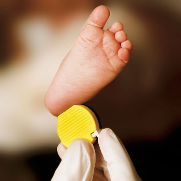Baby Sicherheits-Blutlanzetten